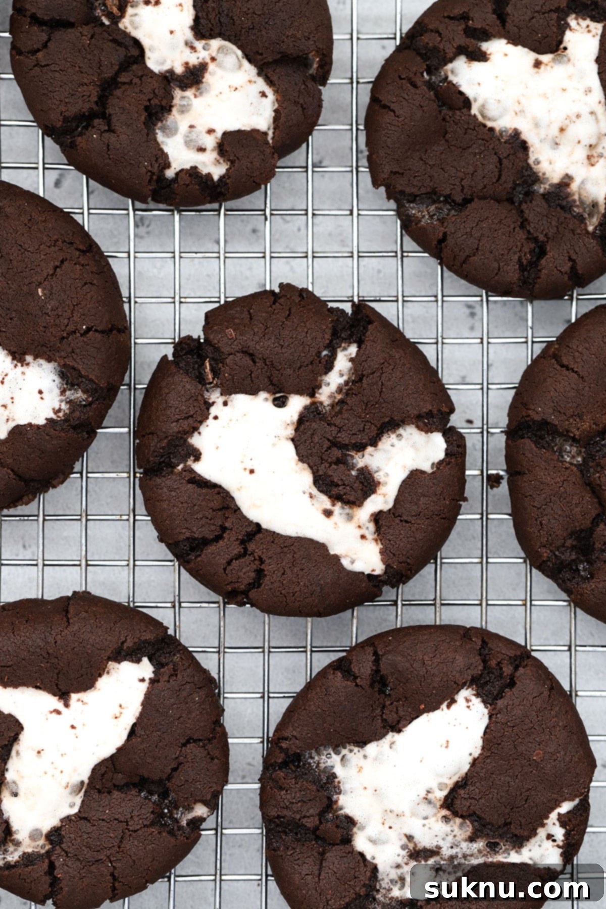 Fudgy Gluten-Free Hot Cocoa Cookies 1 featured 93877