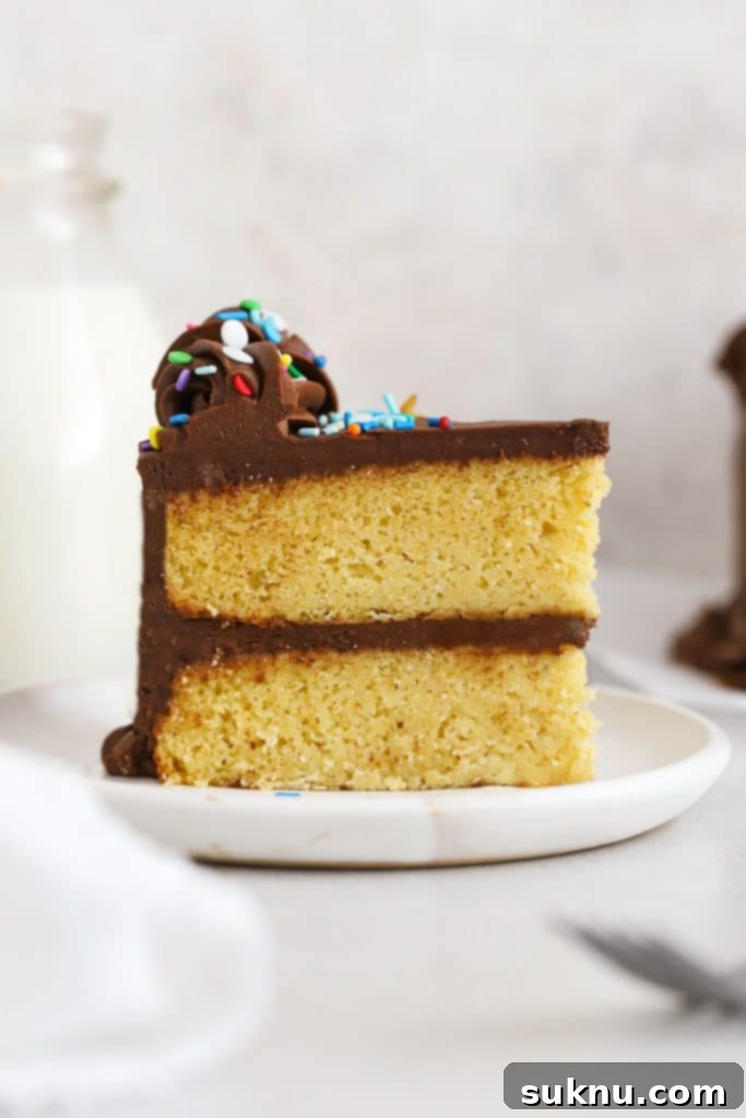 A slice of gluten-free vanilla cake with rich chocolate frosting and colorful sprinkles, perfect for birthdays.