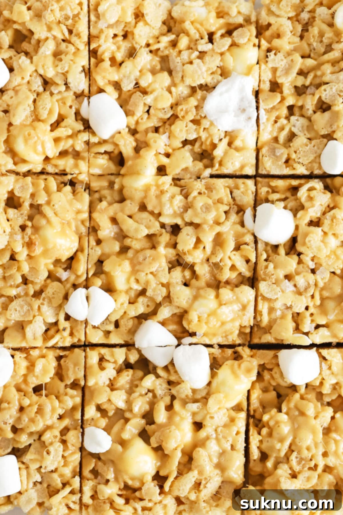 Close-up of gluten-free peanut butter rice krispies treats, showing the squares neatly arranged