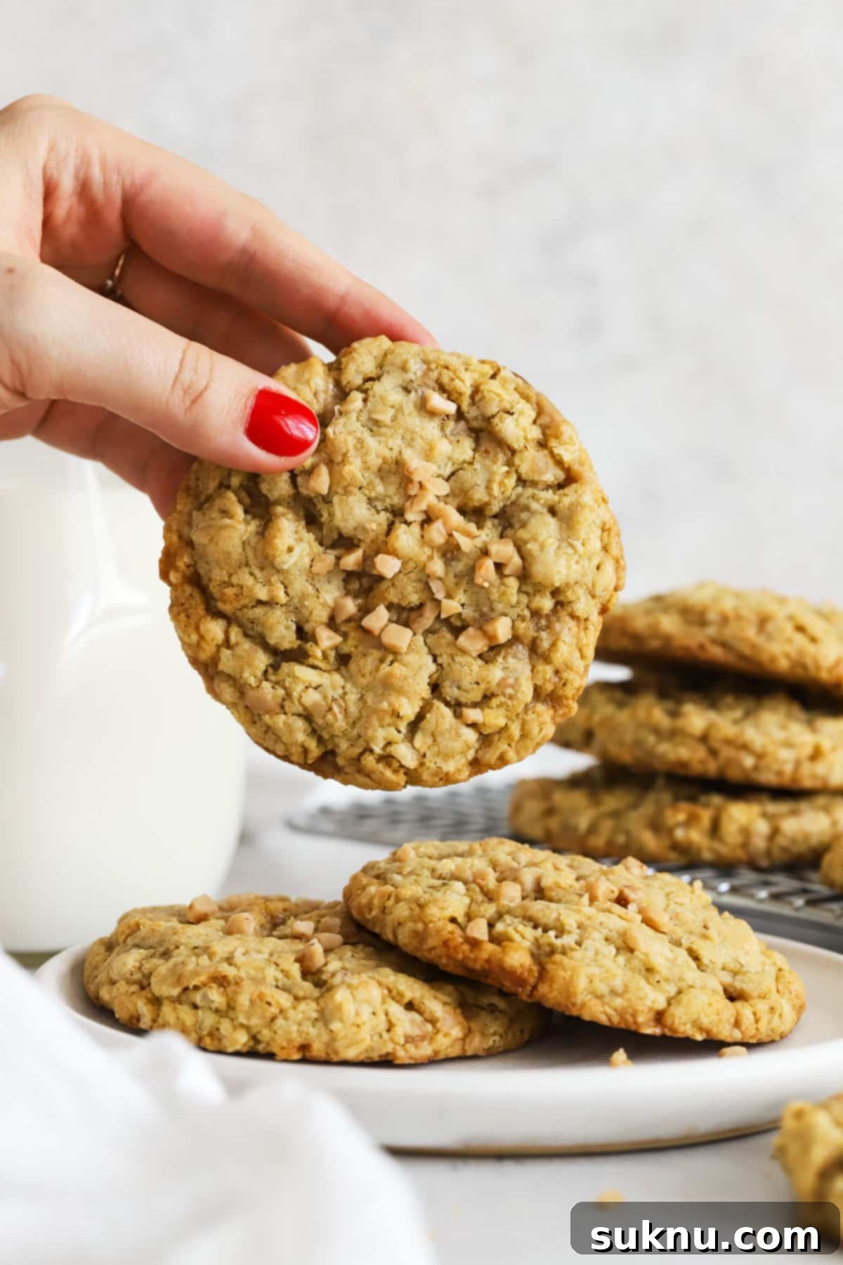 Chewy Gluten-Free Toffee Oatmeal Cookies 2 A freshly baked gluten-free oatmeal toffee cookie being picked up from a white plate, showcasing its golden-brown edges and chewy texture.