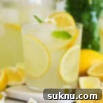 Refreshing Homemade Lemonade 10 An ice-cold glass of homemade lemonade garnished with lemon slices and fresh mint