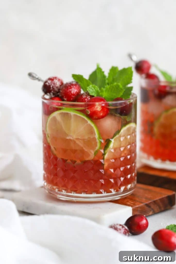 Enchanted Pumpkin Elixir 9 Front view of cranberry lime mocktails in embossed glasses topped with sugared cranberries, lime slices, and fresh mint