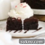 A delicious slice of peppermint flourless chocolate cake topped with a scoop of vanilla ice cream and crushed peppermint candy.