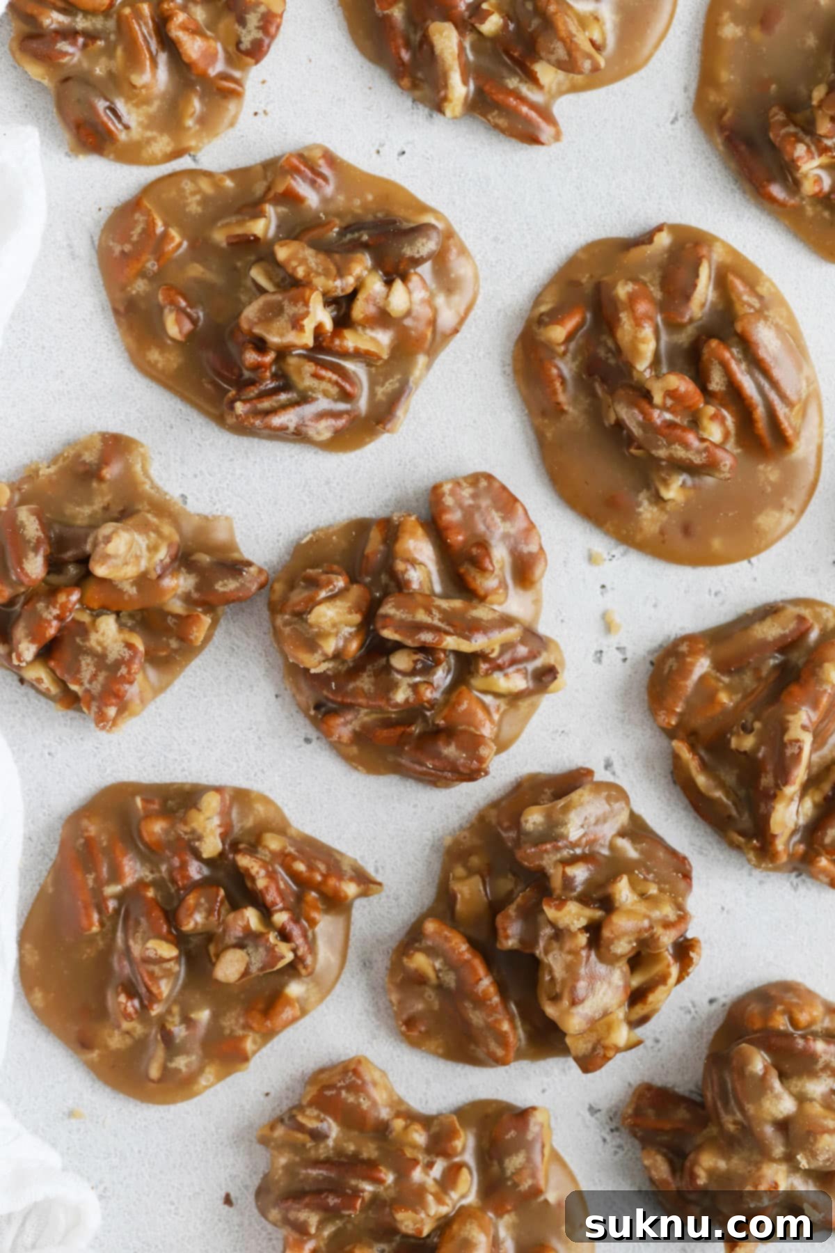 Delightful pecan pralines artfully arranged on a clean white background, showcasing their golden-brown hue and rustic texture.