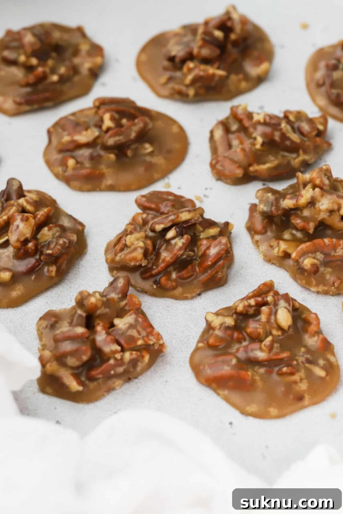 Close-up of freshly made pecan pralines on a white background, highlighting their irregular shape and nutty texture.