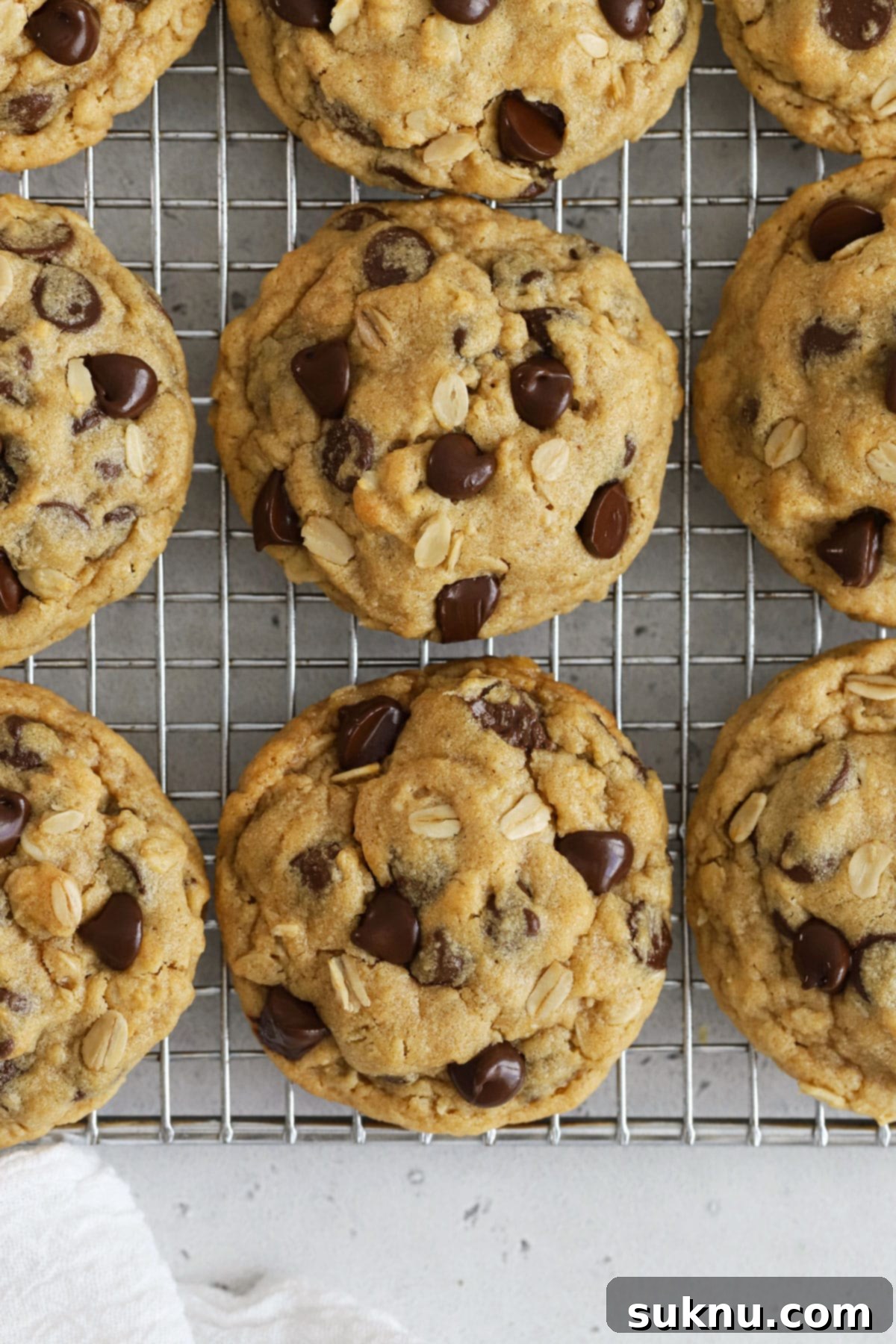 Gluten-Free Peanut Butter Oatmeal Chocolate Chip Delights 5 Gluten-free peanut butter oatmeal chocolate chip cookies cooling on a wire rack, showcasing their perfectly baked appearance.