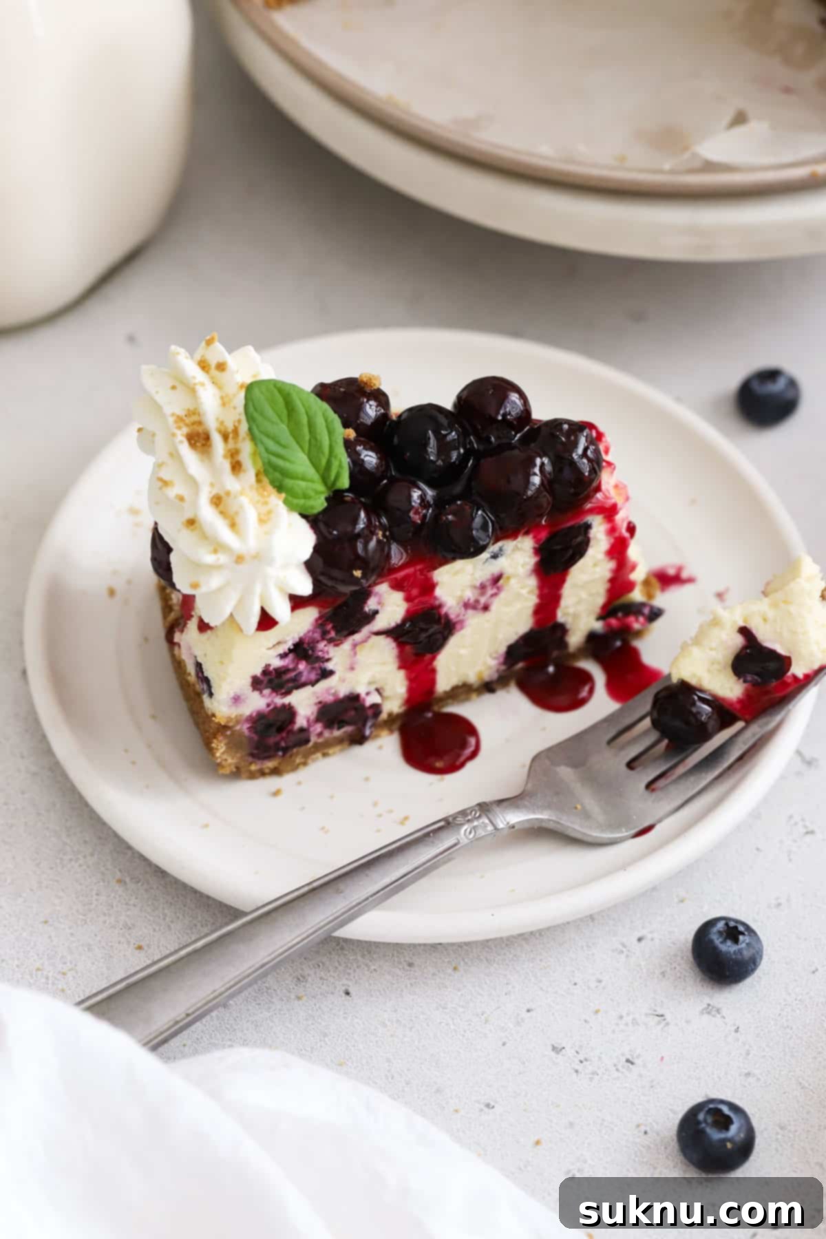 Luscious Gluten-Free Blueberry Cheesecake 8 A perfectly sliced piece of gluten-free blueberry cheesecake on a white dessert plate, revealing its distinct layers of crust, creamy filling, and rich blueberry topping.