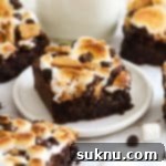 Decadent Gluten-Free S'mores Brownies 12 gluten-free s'mores brownie squares on a dessert plate