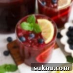 glasses of fresh blueberry lemonade garnished with fresh mint, blueberries, and lemon slices