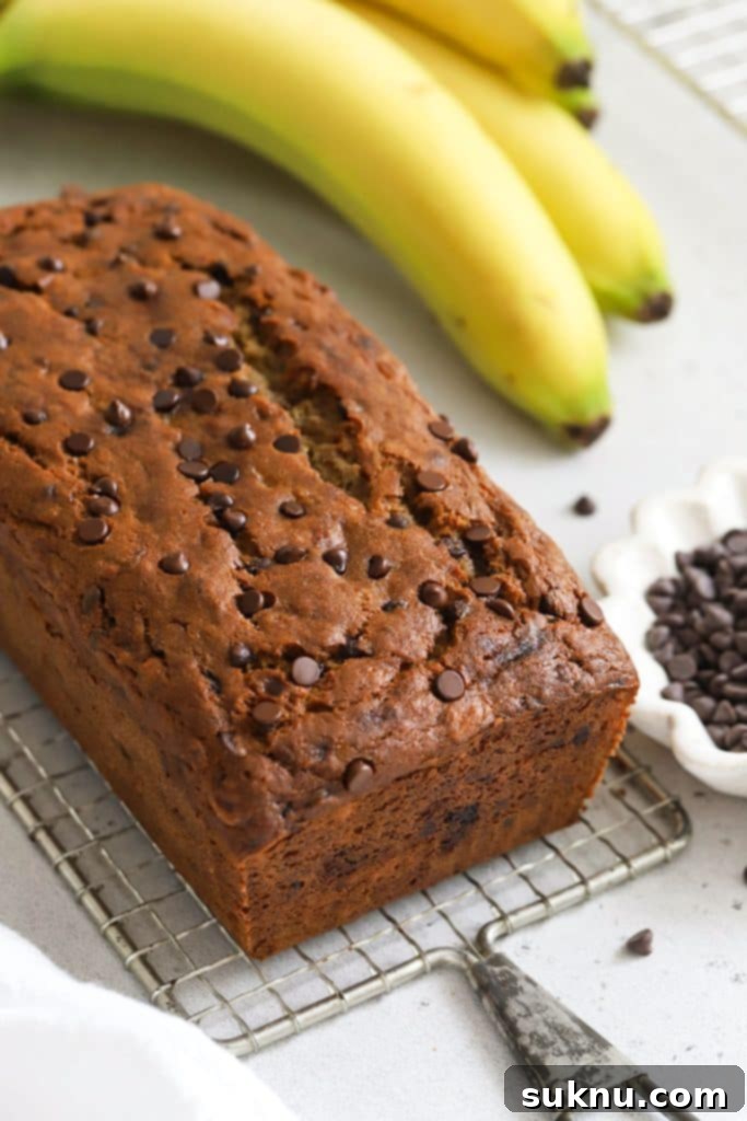 A delicious loaf of gluten-free chocolate chip banana bread surrounded by ripe bananas and chocolate chips.