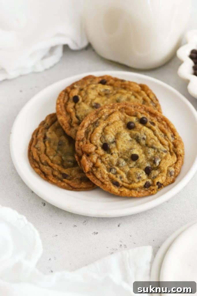 Three thin and crispy gluten-free chocolate chip cookies artfully arranged on a white plate.