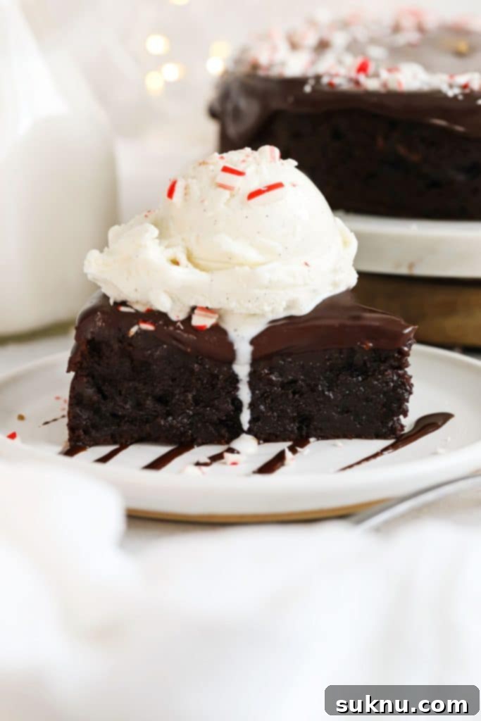 a slice of peppermint flourless chocolate cake topped with vanilla ice cream and crushed peppermint