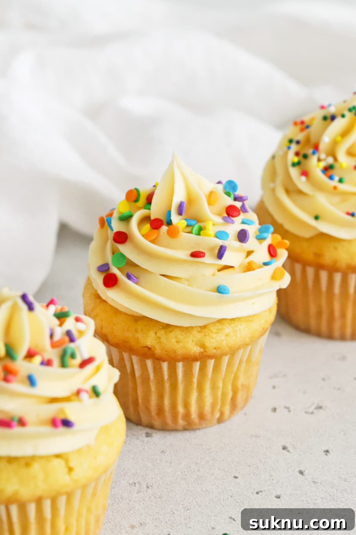 Front view of gluten-free vanilla cupcakes topped with vanilla buttercream and different kinds of sprinkles