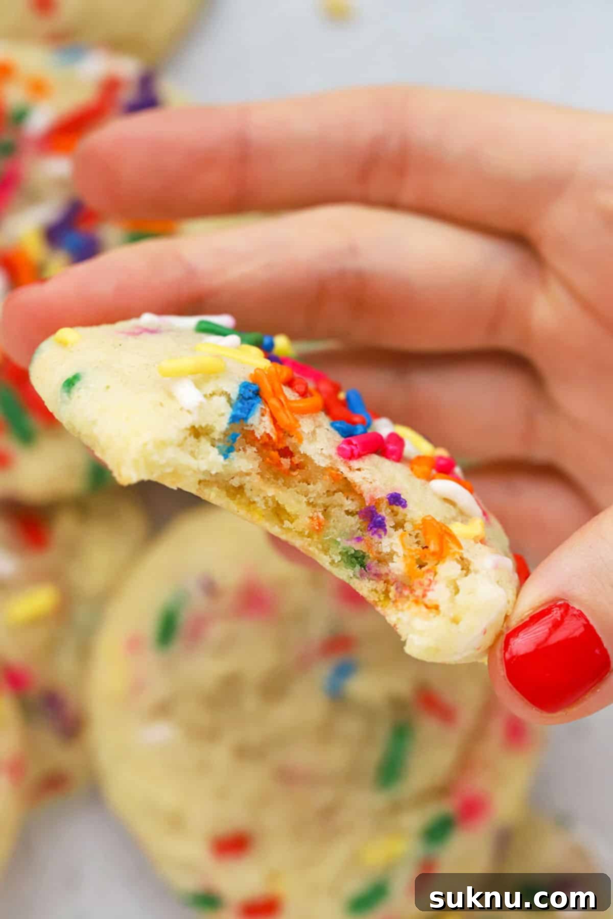 Sprinkled Gluten Free Sugar Cookies 7 A delicious gluten-free sprinkle sugar cookie with a bite taken out, revealing its soft interior and vibrant sprinkles.