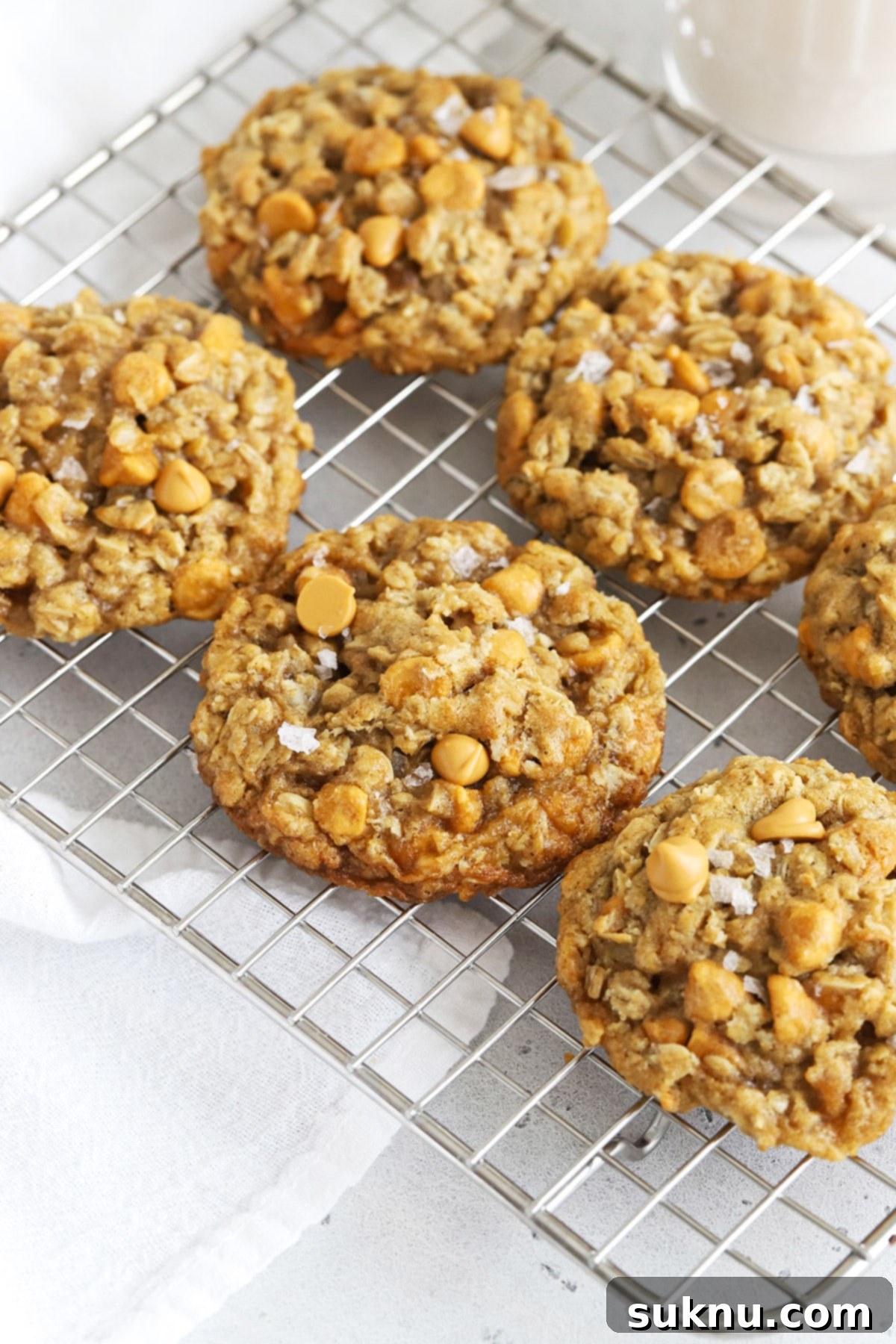 Freeze Cookie Dough Bake Fresh Cookies Anytime 8 gluten-free oatmeal scotchies topped with flaky sea salt