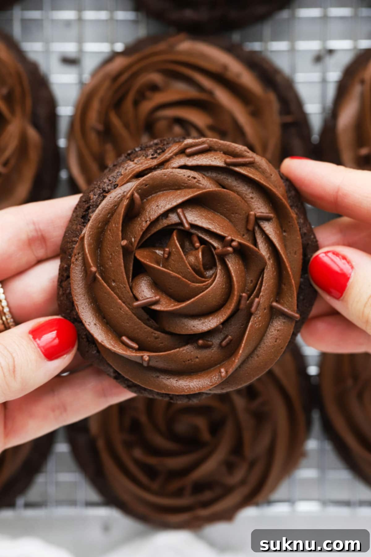 Gluten-free chocolate cookies with rosettes of chocolate frosting, perfectly baked and decorated.