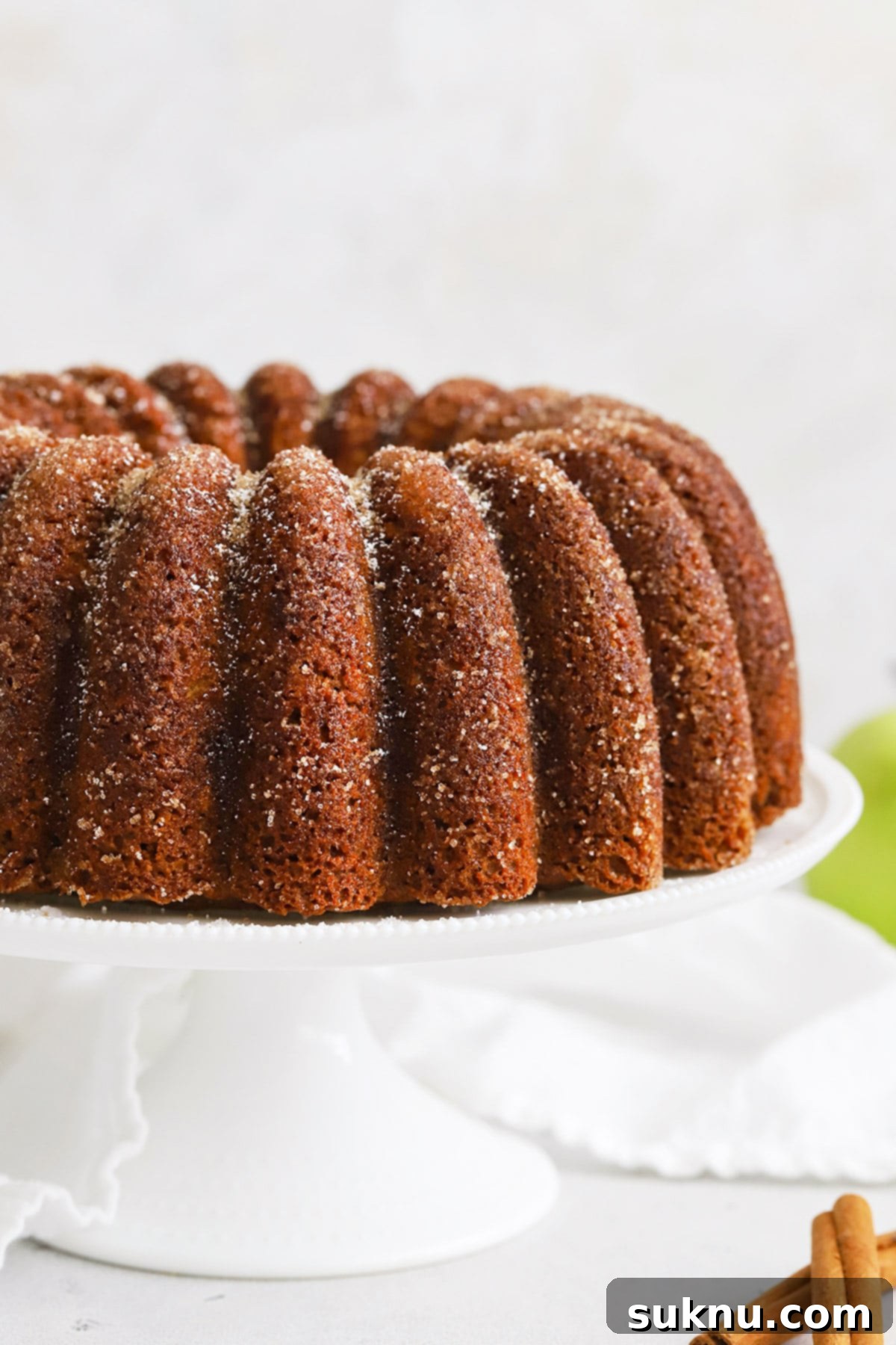 Close-up of a Gluten-Free Apple Spice Bundt Cake, showcasing its cinnamon sugar coating and tender crumb.