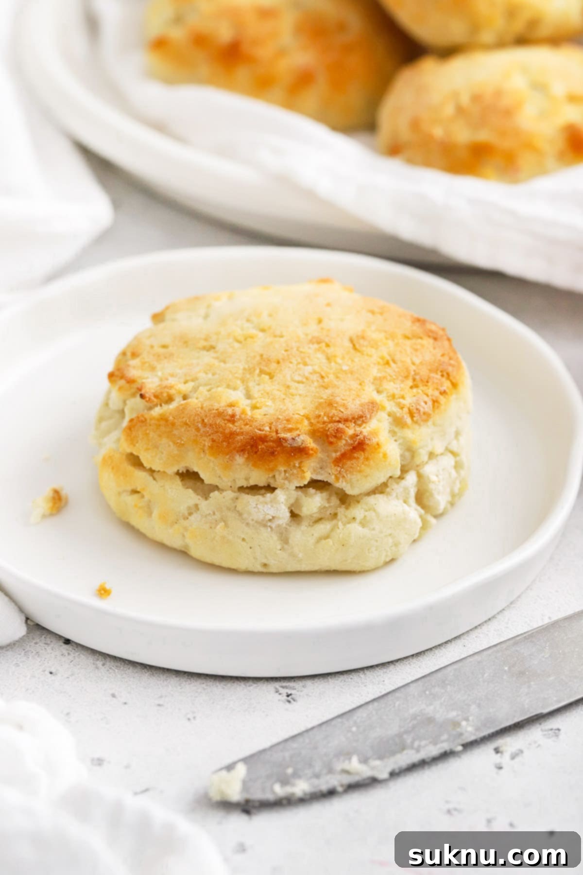 A single fluffy gluten-free biscuit resting on a white plate, showcasing its golden crust and tender interior.