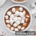 Peppermint Dream Vegan Cocoa 13 Overhead view of a steaming mug of vegan peppermint hot chocolate topped with marshmallows from Sweets & Thank You