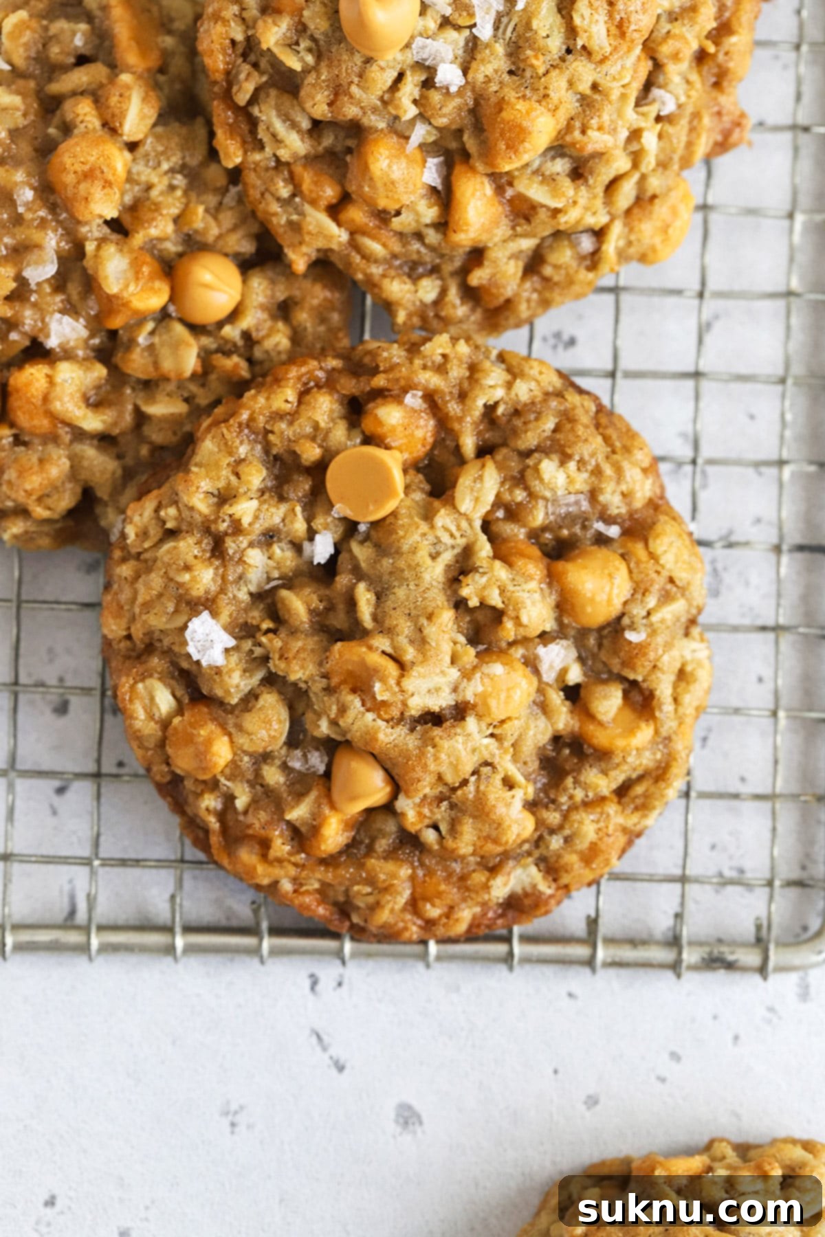 Gluten-free oatmeal butterscotch cookies topped with flaky sea salt, displayed beautifully.