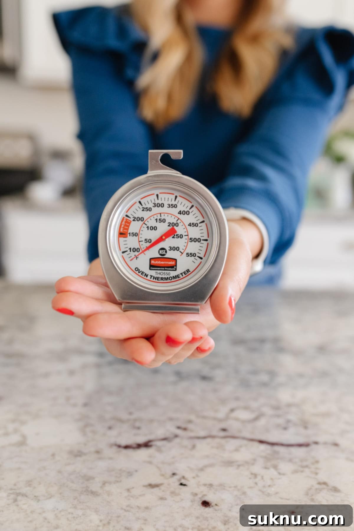 Inexpensive oven thermometer to help bake better cookies
