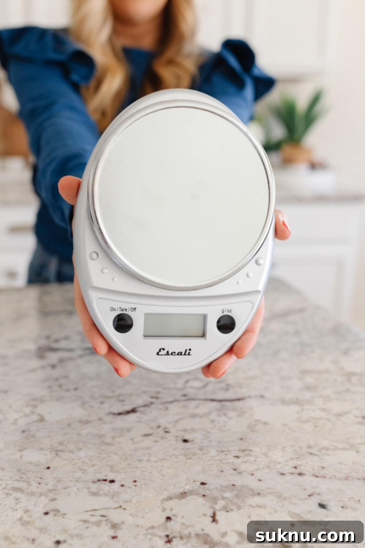 Escali silver kitchen scale