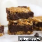 Decadent Gluten-Free Oatmeal Fudge Bars 11 Gluten-free oatmeal fudge cookie bars stacked by a bottle of milk