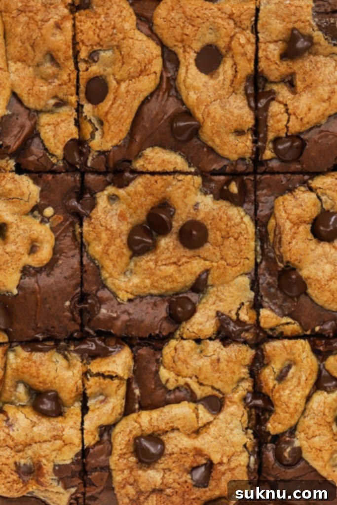 Decadent Gluten-Free Oatmeal Fudge Bars 8 Gluten-free brownie cookie bars cut into squares