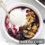 Overhead view of gluten-free blueberry crisp topped with melting vanilla ice cream
