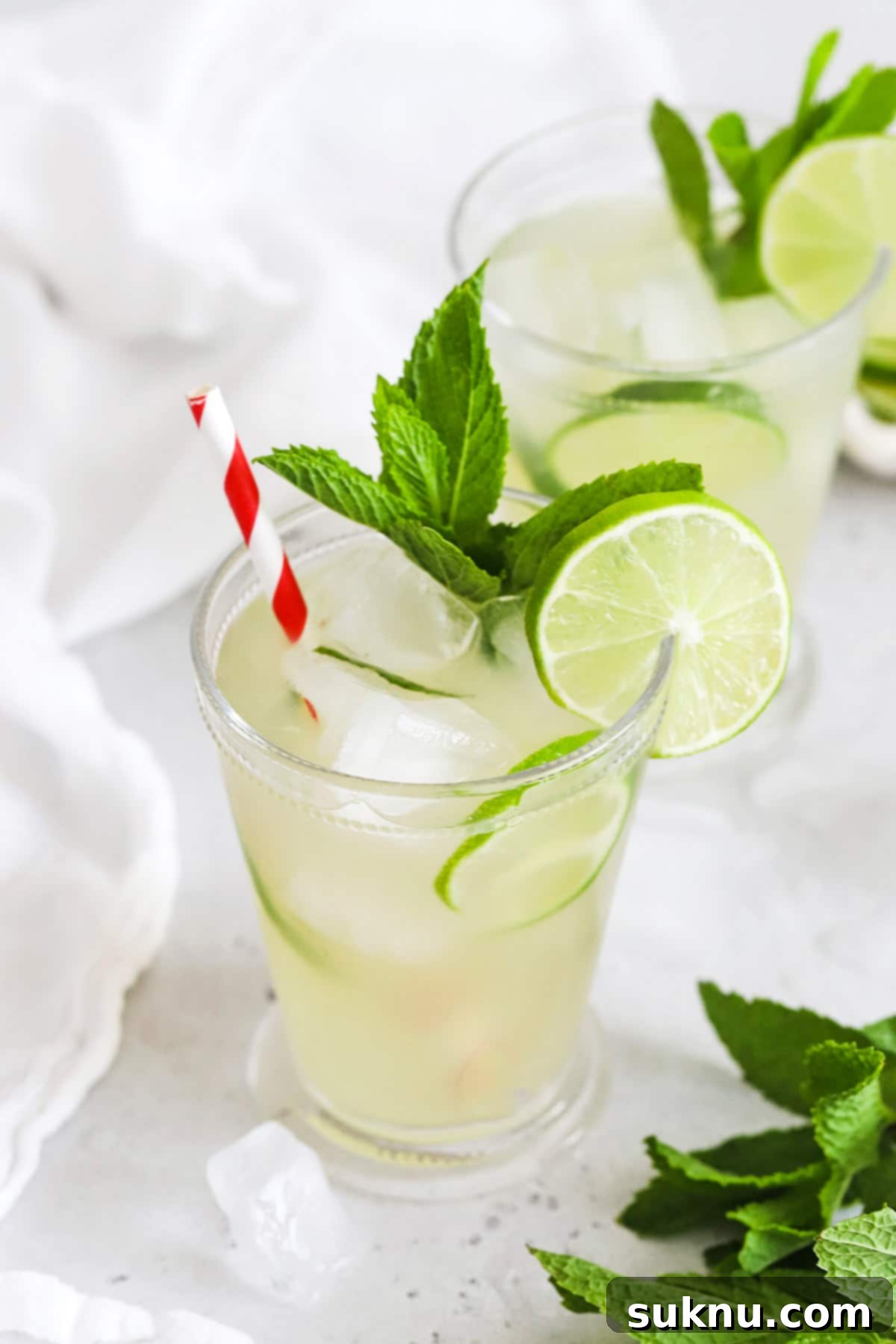 Zesty Mint Lime Mocktail 10 Two glasses of virgin mojito mint limeade, brightly garnished with fresh mint and lime, perfect for a summer day.