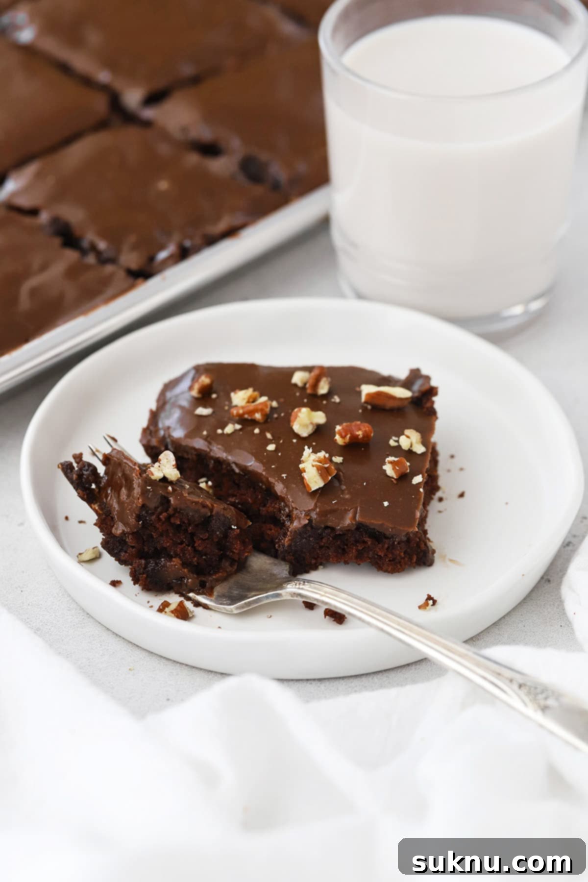 A close-up shot of a gluten-free Texas chocolate sheet cake slice, adorned with pecans, and presented on a white plate, highlighting its rich texture.