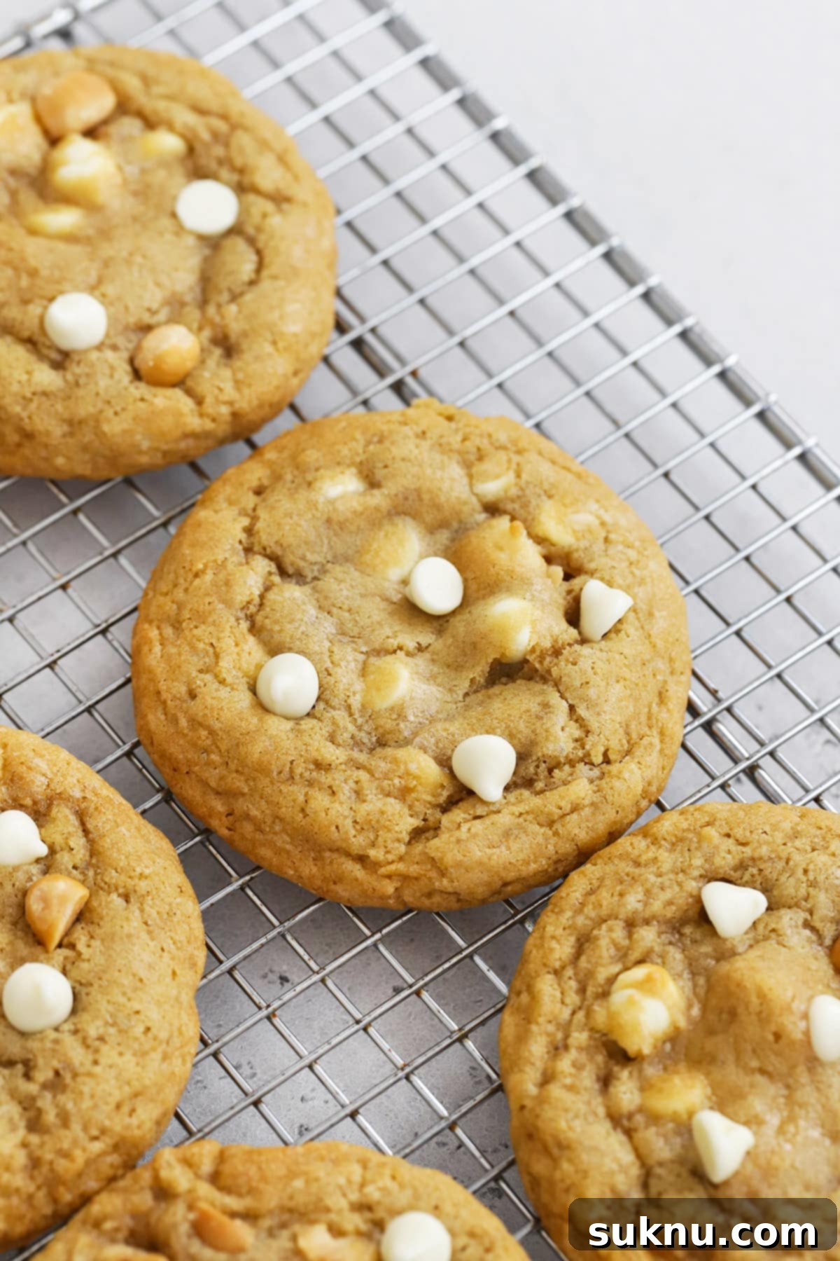 Front view of gluten-free white chocolate macadamia cookies on a cooling rack