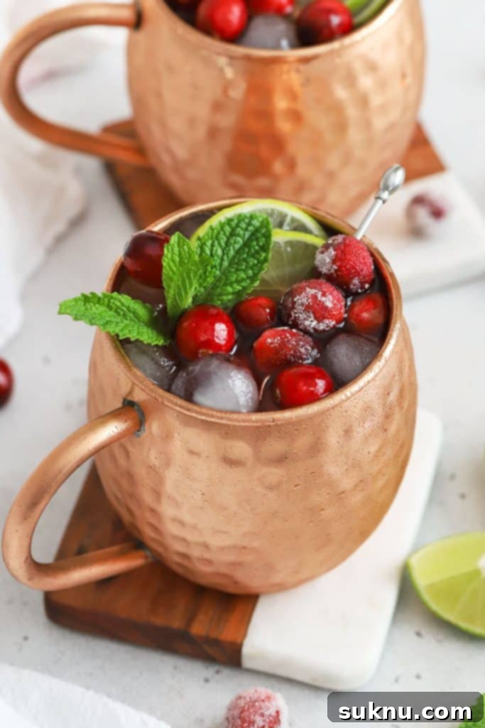 Sparkling Sugared Cranberries 15 red and green cranberry moscow mule mocktails in copper mugs