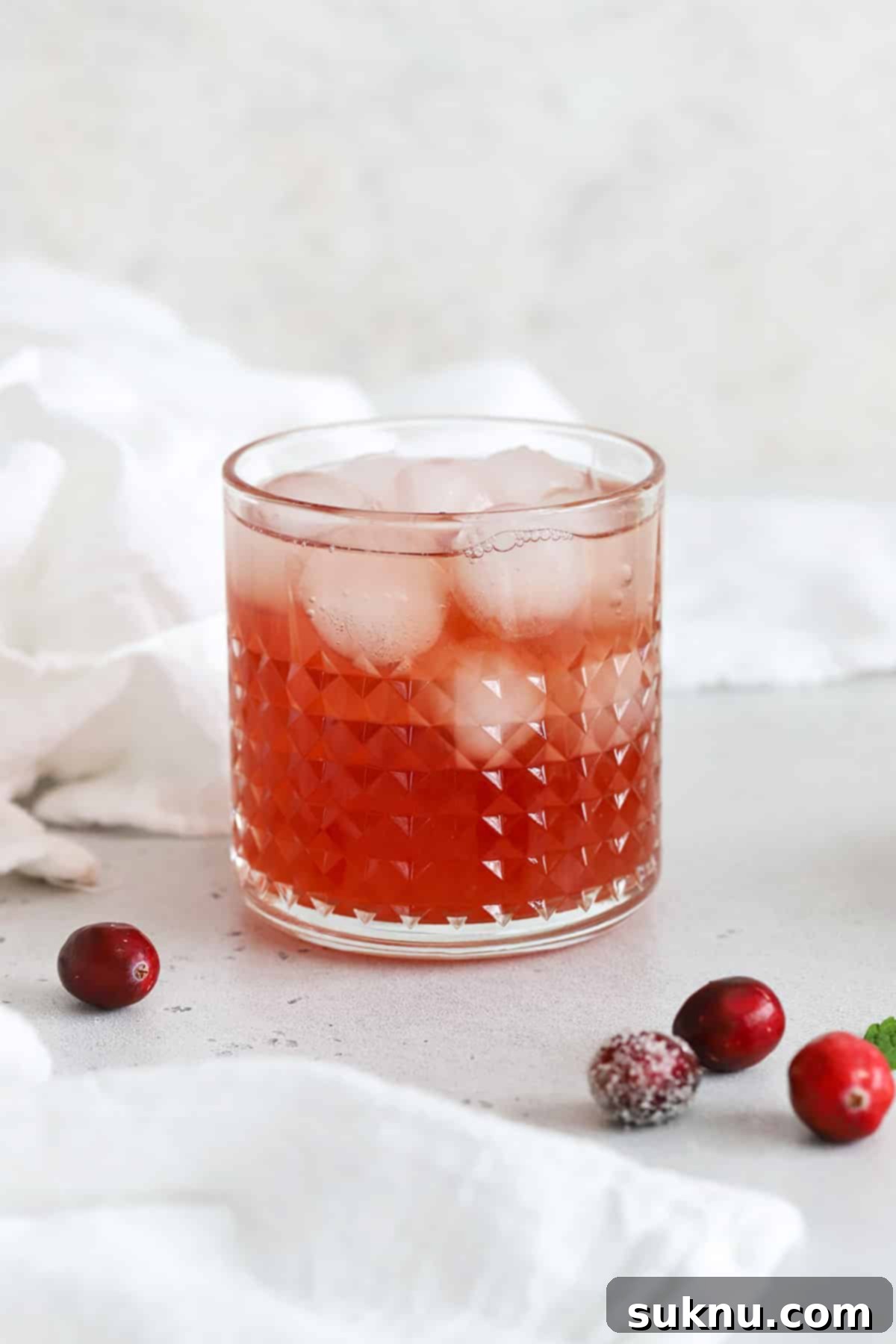 Sparkling Cranberry Lime Delight 5 Front view of a cranberry mocktail made with mint simple syrup
