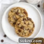Gluten-Free Oatmeal Chocolate Chip Cookies on a white plate