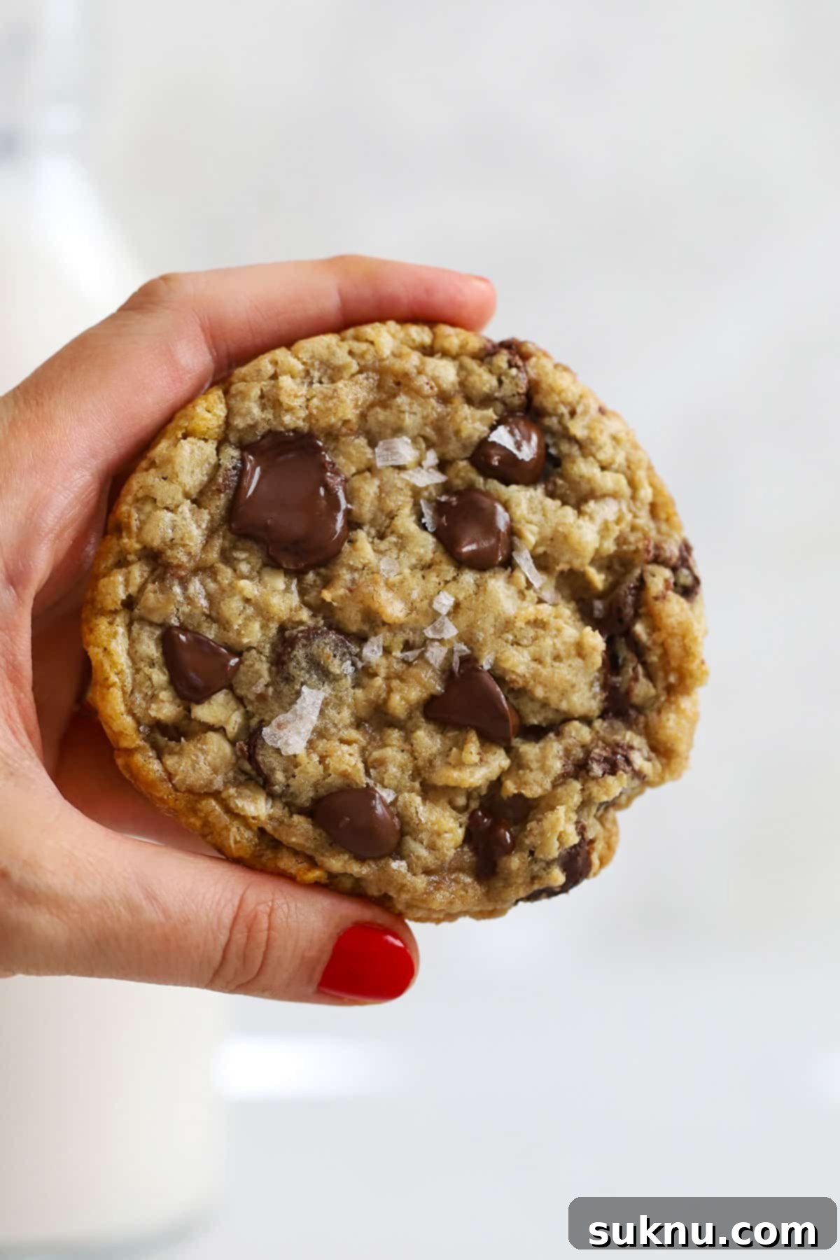 A hand holding a warm, soft, and chewy gluten-free oatmeal chocolate chip cookie, showing its texture