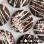 Gluten-free chocolate candy cane cookies on a white background