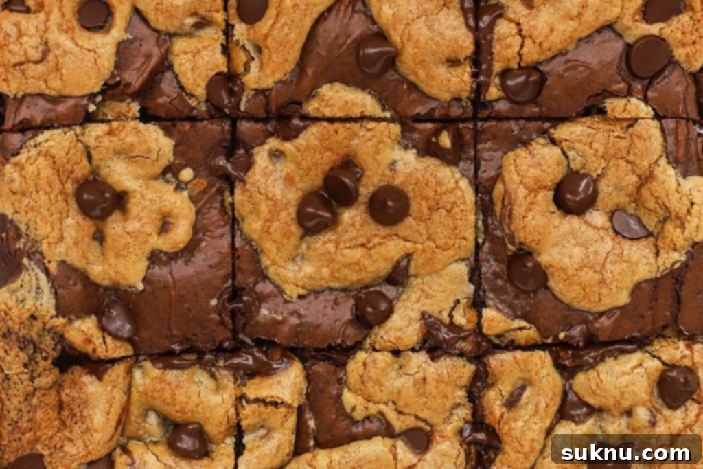 Perfect Gluten-Free Sugar Cookie Bars 11 Perfectly cut squares of gluten-free brookies, showcasing layers of fudgy brownie and chewy chocolate chip cookie.