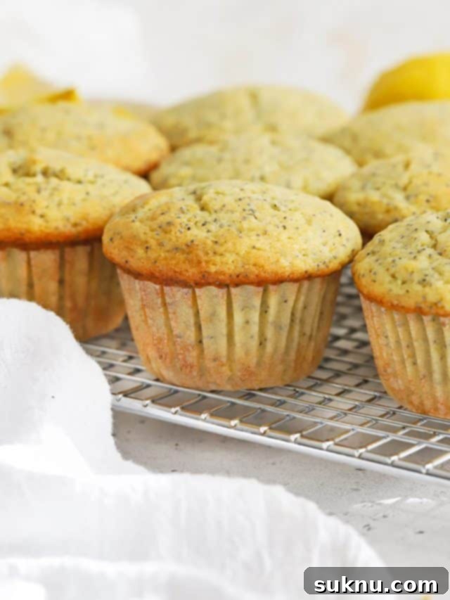 Front view of gluten-free lemon poppy seed muffins cooling on a cooling rack