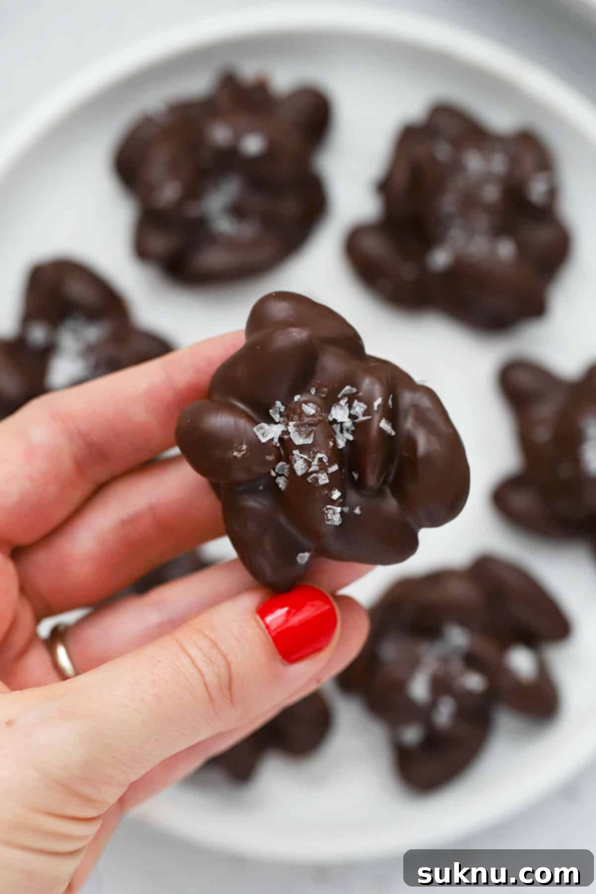 Close-up of a hand holding a single dark chocolate almond cluster with visible flaky sea salt, emphasizing its texture