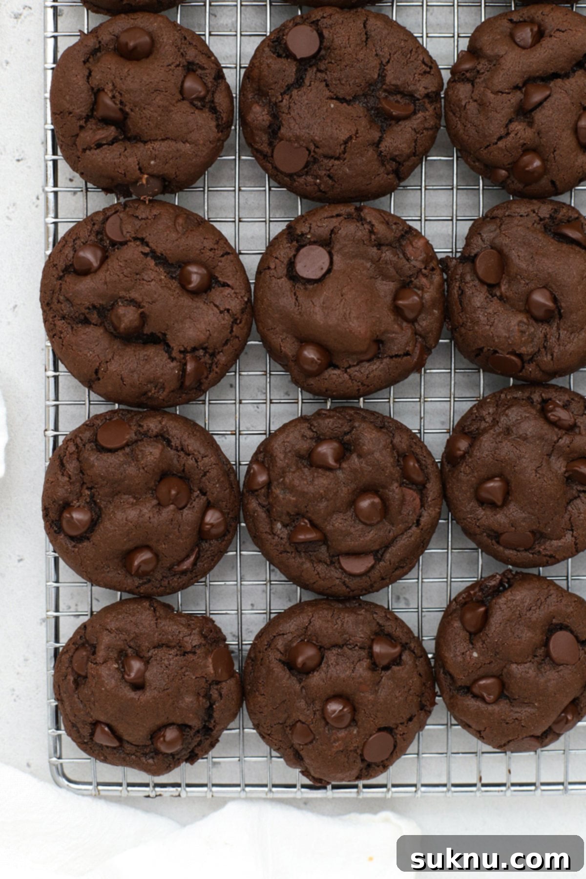Gluten-Free Double Chocolate Chip Cookies 5 Freshly baked gluten-free chocolate cookies cooling on a wire rack, steam gently rising, ready to be enjoyed.