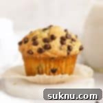 Delicious Gluten-Free Chocolate Chip Muffins 11 bakery style gluten-free chocolate chip muffin with mini chocolate chips