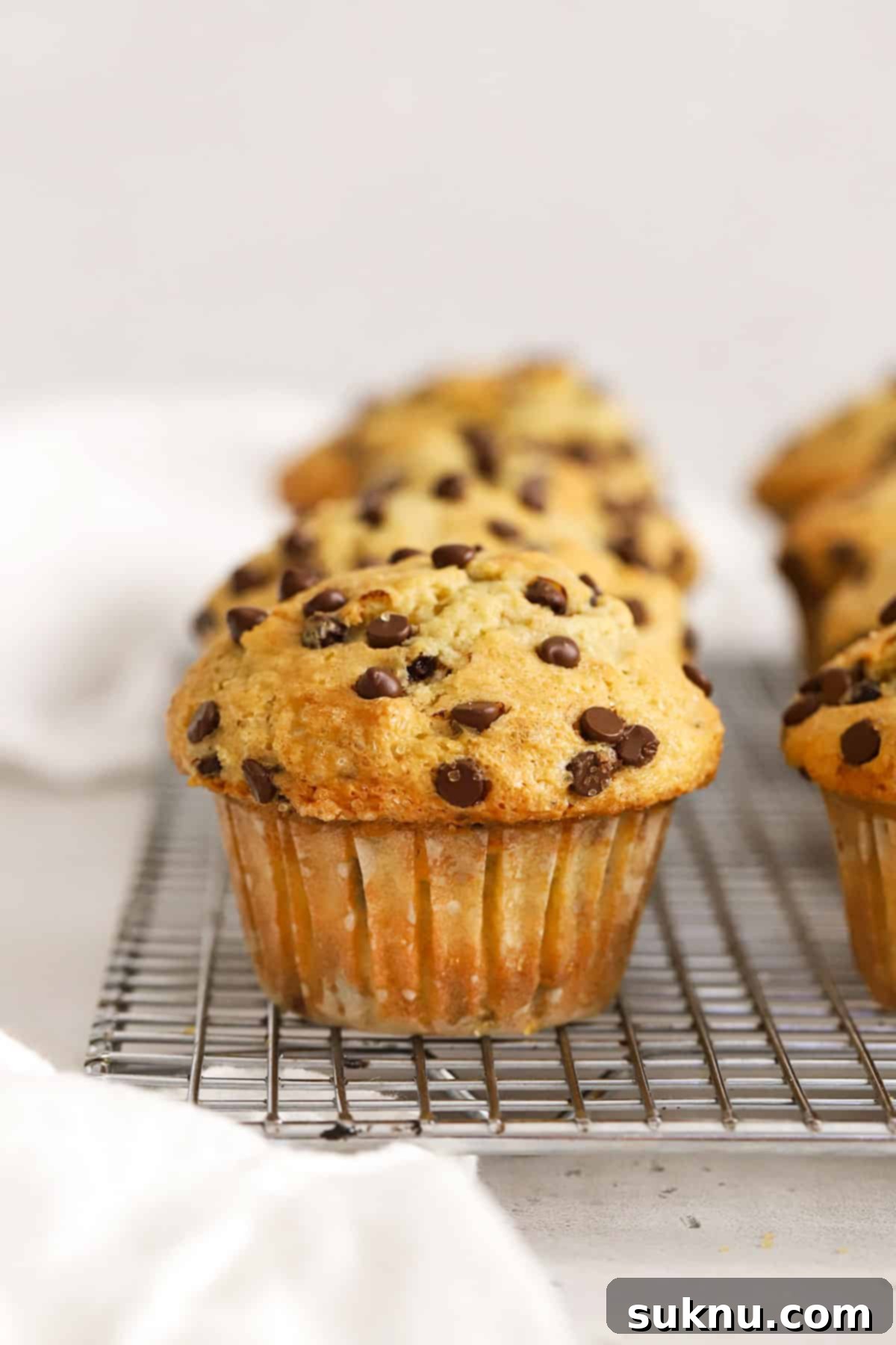 Delicious Gluten-Free Chocolate Chip Muffins 5 gluten-free chocolate chip muffins on a wire rack