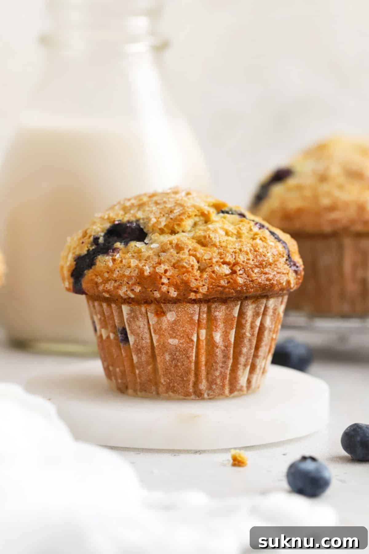 bakery-style gluten-free blueberry muffins with fresh blueberries