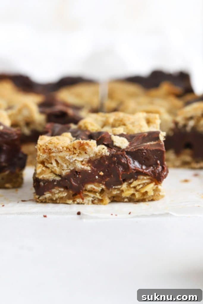 Ultimate Gluten-Free Chocolate Chip Cookie Bars 9 A tray of gluten-free oatmeal fudge bars cut into perfect squares, highlighting their rich layers.