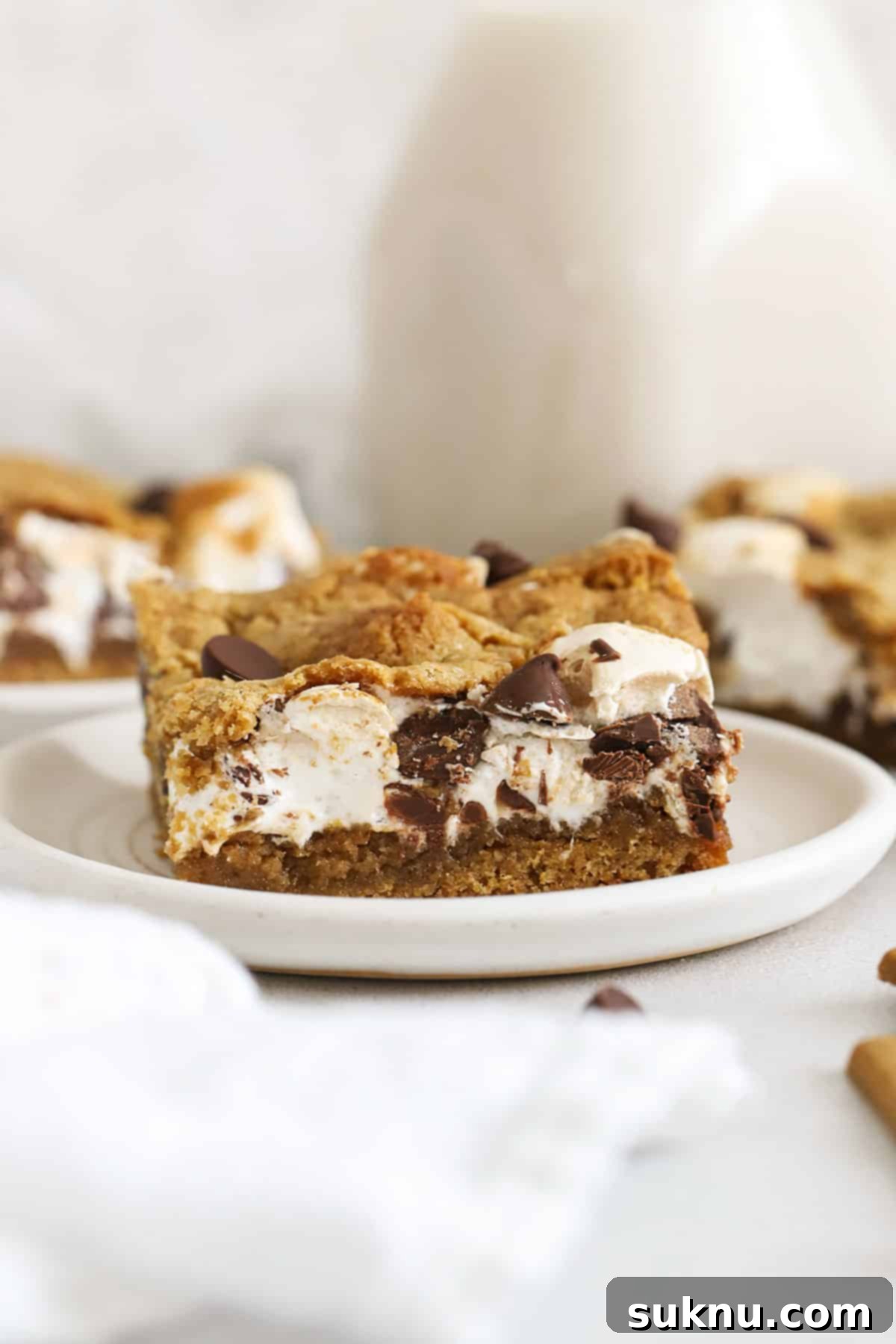 Close-up of gluten-free s'mores cookie bars, highlighting the gooey texture and rich melted chocolate.