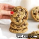 Delicious Gluten-Free Oatmeal Raisin Cookies 10 a stack of gluten-free oatmeal raisin chocolate chip cookies on a white background