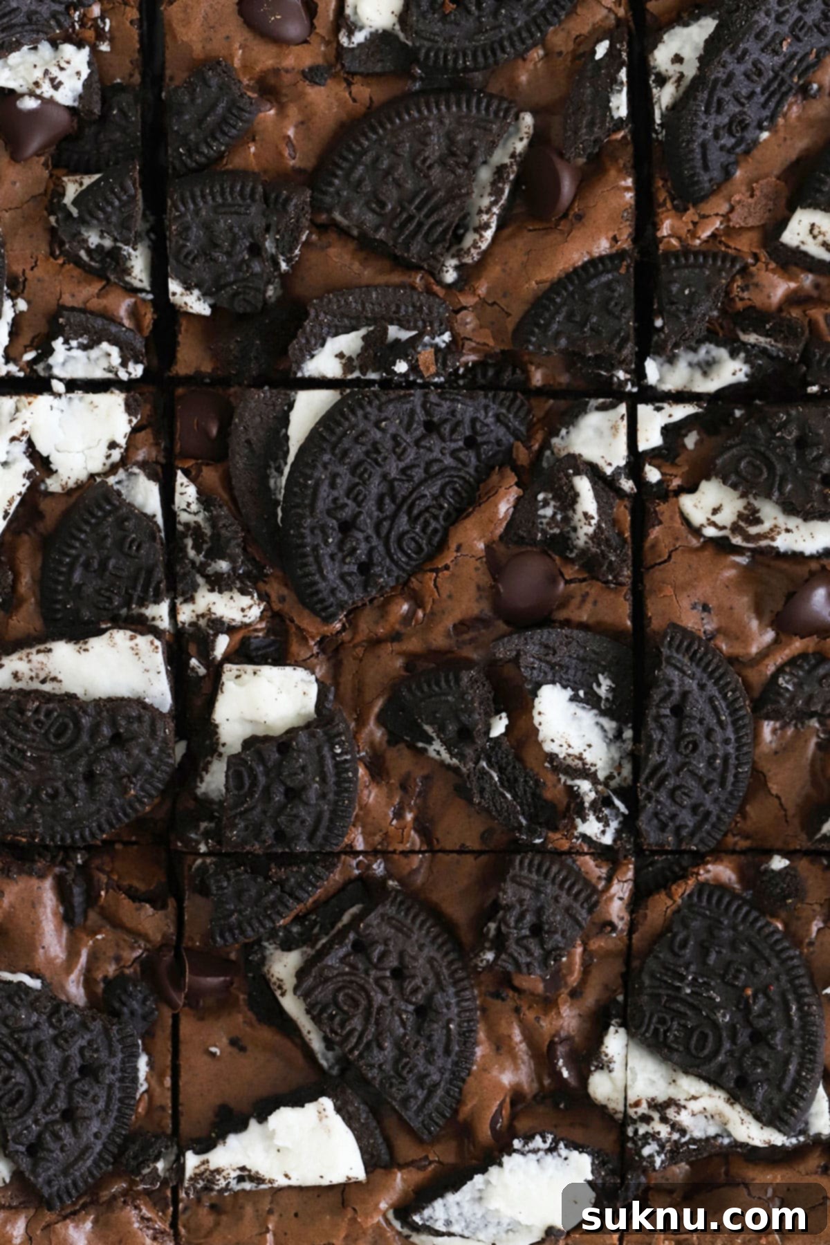 Close-up view of fudgy gluten-free Oreo brownies cut into perfect squares, showcasing the layered Oreos within and on top.