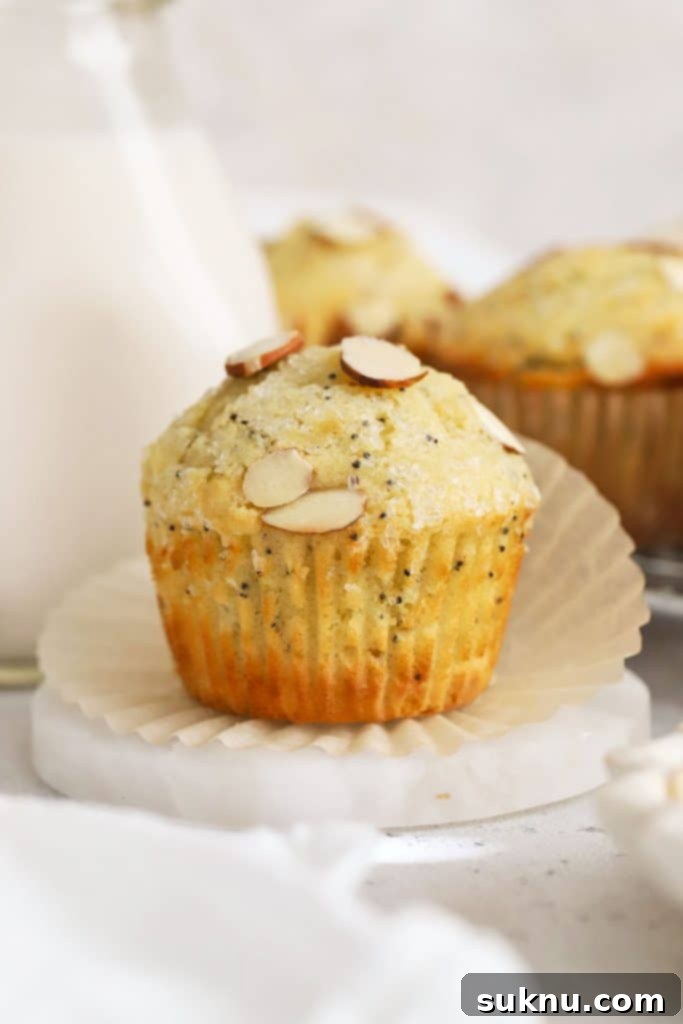 gluten-free almond muffins with poppy seeds
