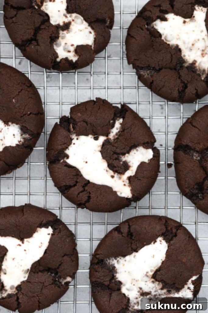 Gluten-free hot chocolate cookies topped with marshmallows cooling on a wire rack.